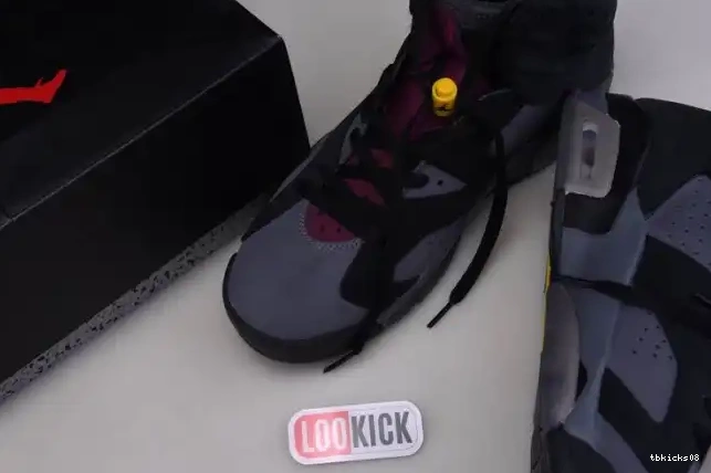 Reps TBkick Jordan 6 